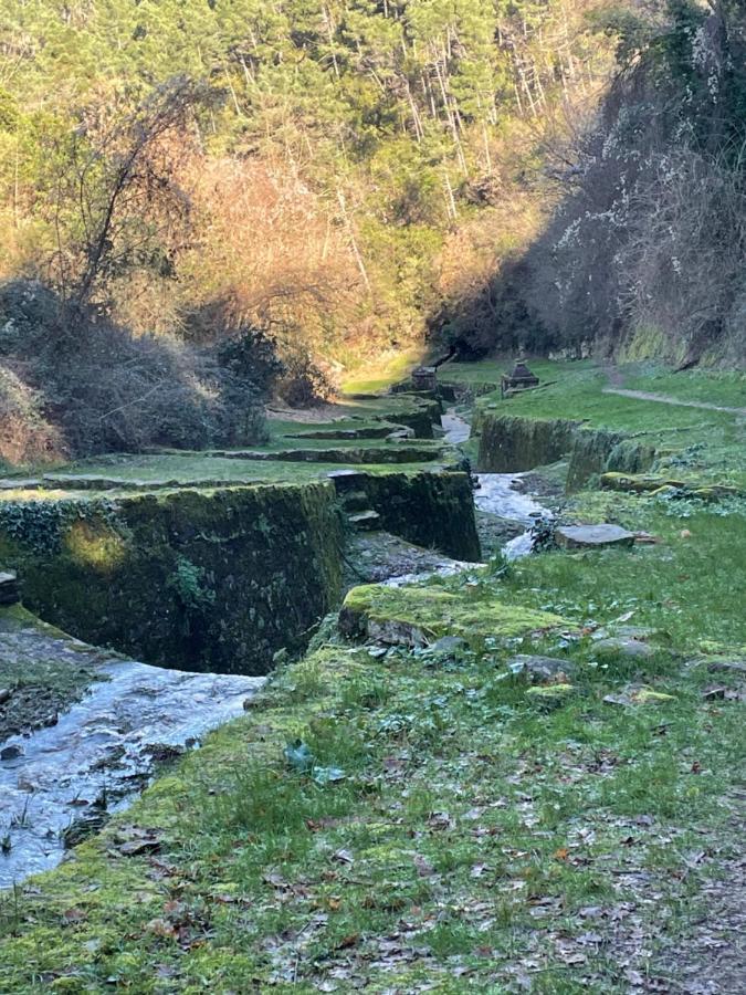 La Dimora di Corte Lucca Esterno foto